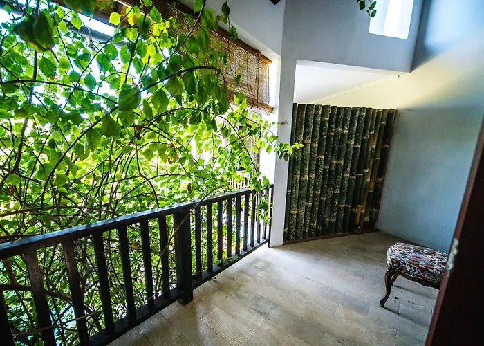 Elang Konukevi